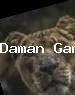 Indian Overwatch player Profile picture of Indian Overwatch player